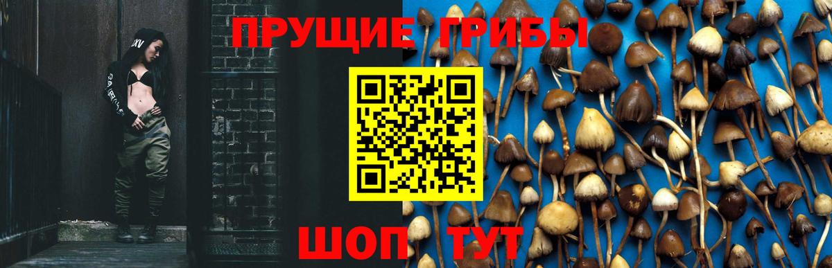 Галлюциногенные грибы GOLDEN TEACHER Северобайкальск